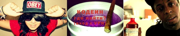 гидропоника Богданович