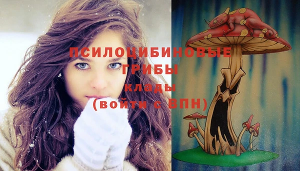 ГАЛЛЮЦИНОГЕННЫЕ ГРИБЫ Богородск