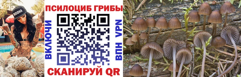 Галлюциногенные грибы прущие грибы  hydra маркетплейс  Котовск 
